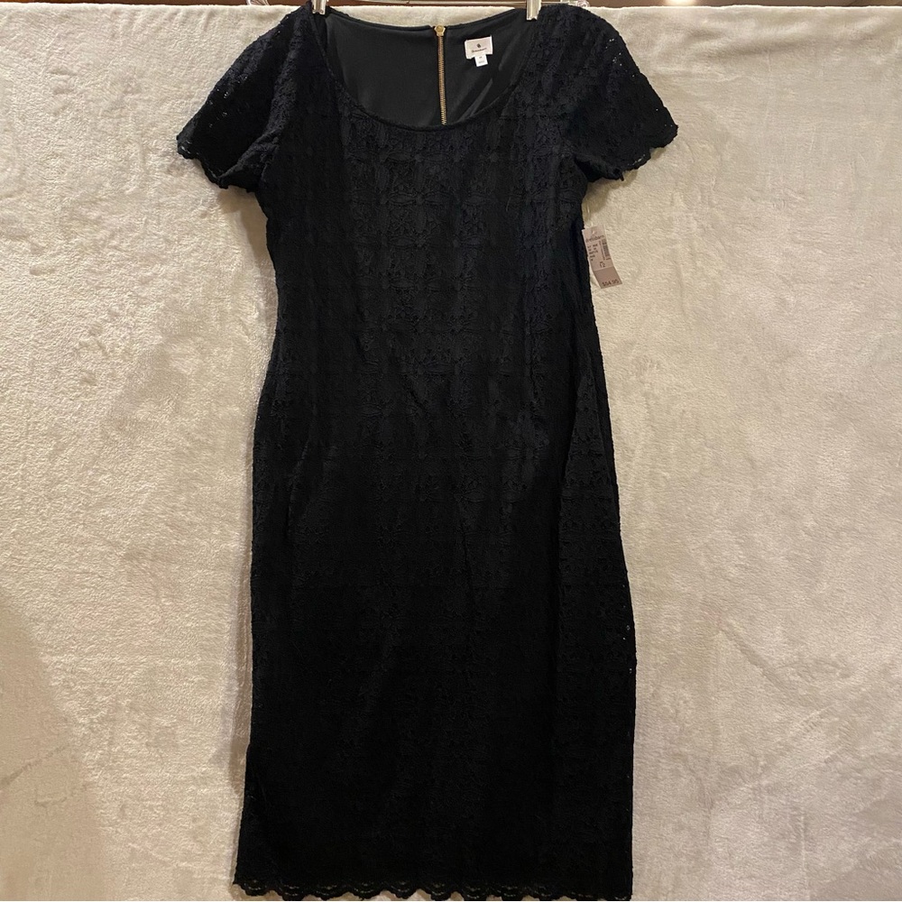 Dressbarn Dress Women’s 12 Black Lace Lined Back Zipper Short Sleeve New